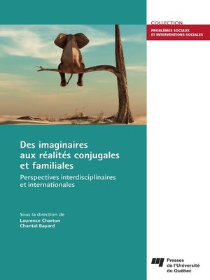 cover image of Des imaginaires aux réalités conjugales et familiales